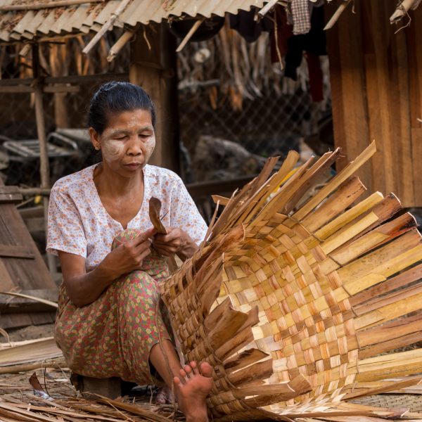 Burmese woman is sorting bamboo to make bamboo wall within village nearly Ubein Bridge, Burmese woman is sorting bamboo to make bamboo wall within village nearly Ubein Bridge,